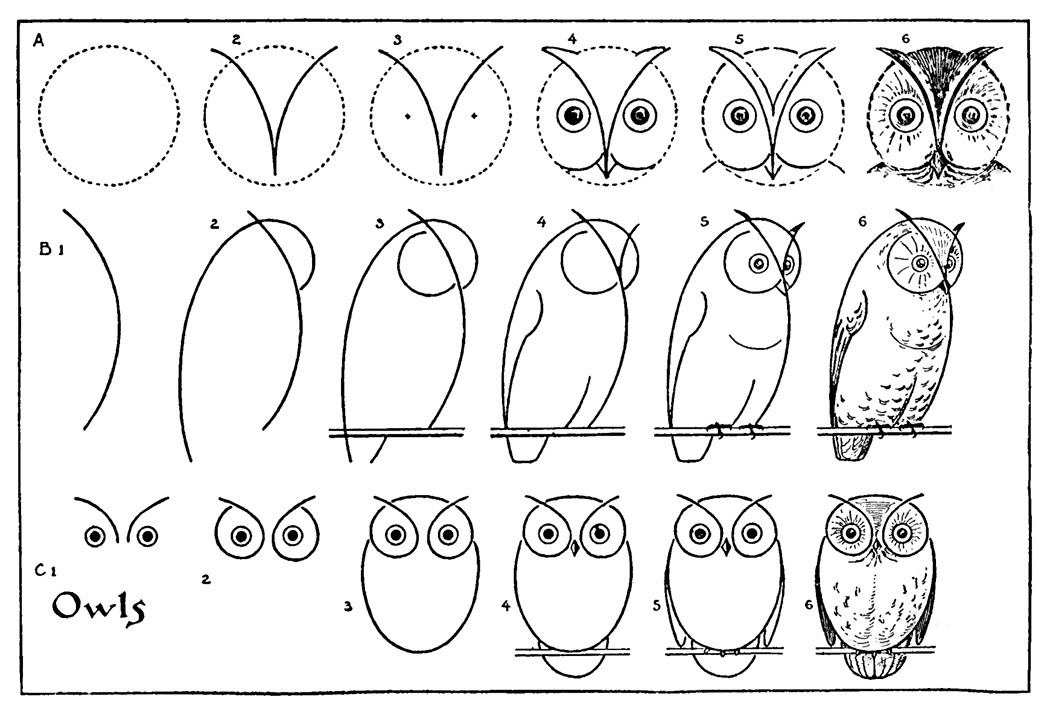 A drawing guide with instructions for a front-facing owl face, a side/45° profile view, and a front-facing owl with body. Each series has 6 steps. The instructions are quite helpful, and a subversion of the "draw the rest of the owl" meme.